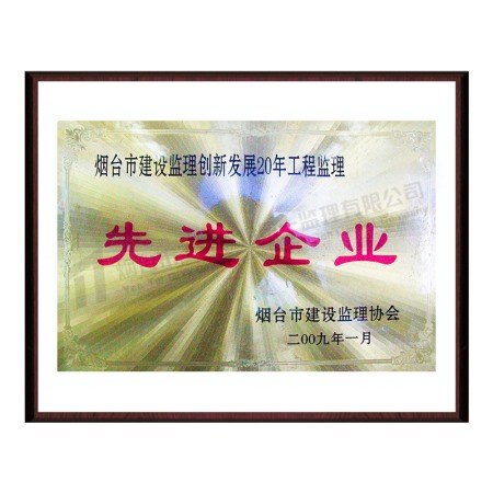 2009創(chuàng)新發(fā)展20年先進(jìn)企業(yè)